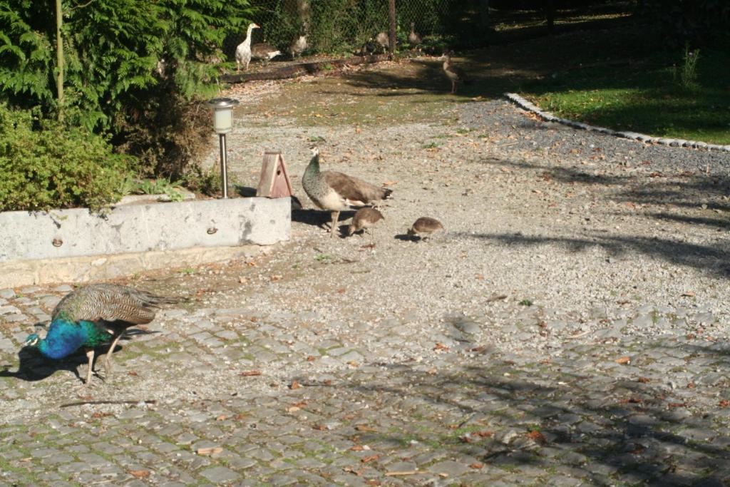 Tromcourt Hotel Couvin Kültér fotó